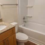 Roomate needed