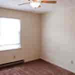 Roomate needed