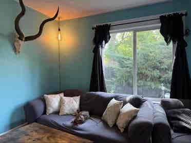 Room in beautiful craftsman home