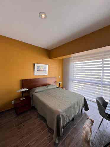 Room with walk-in closet & bathroom