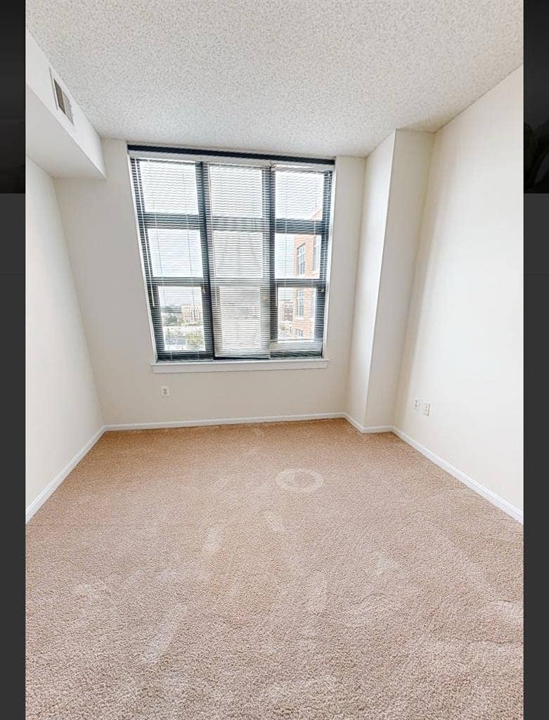 Looking for a female Roommate (b