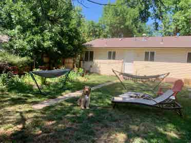 House for rent close to CSU campus!