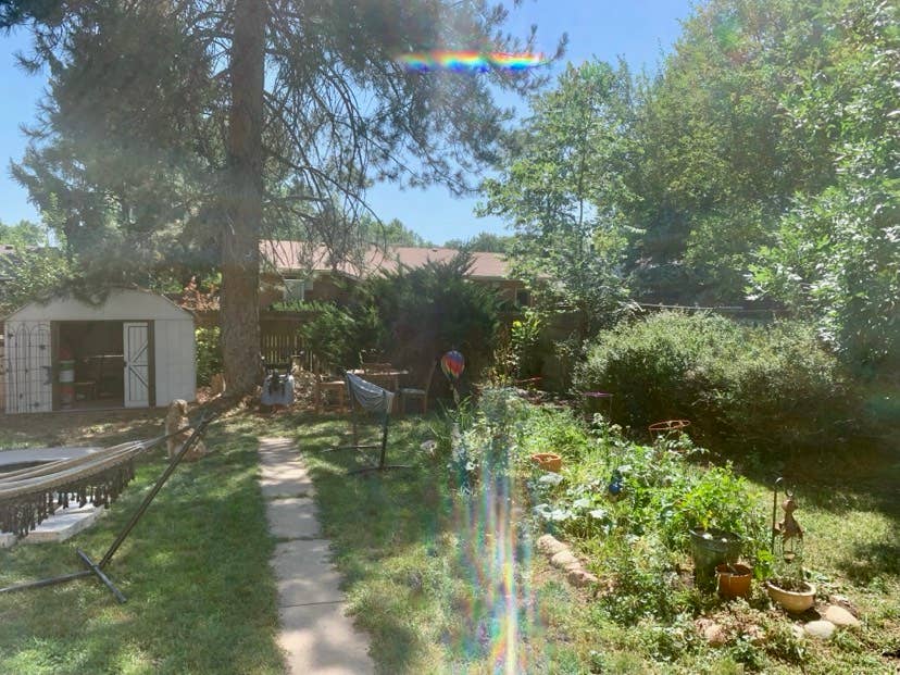 House for rent close to CSU campus!