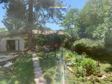 House for rent close to CSU campus!