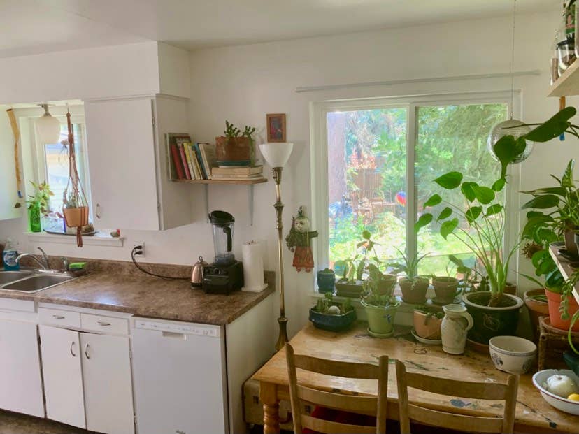 House for rent close to CSU campus!
