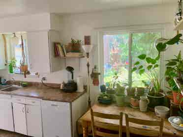 House for rent close to CSU campus!