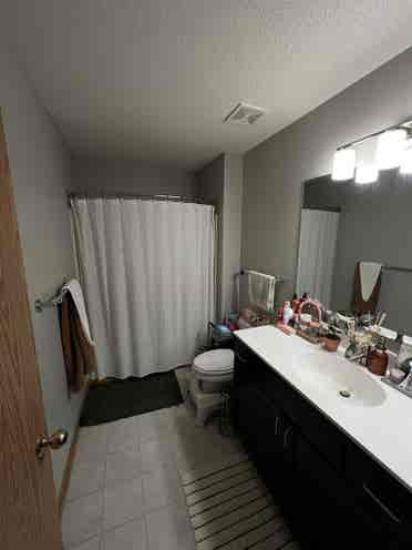 Seeking a subleaser + can renew!