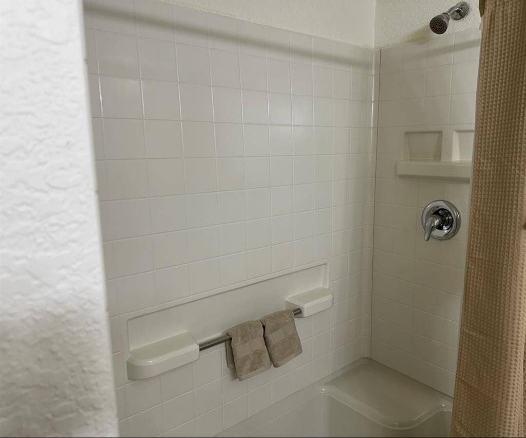 Looking for a roommate