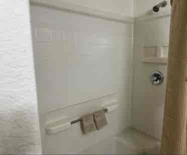 Looking for a roommate