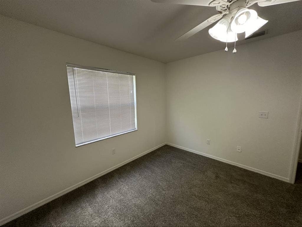 Looking for a roommate