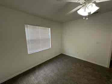 Looking for a roommate