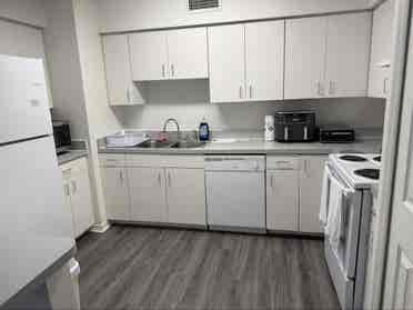 Looking for a roommate