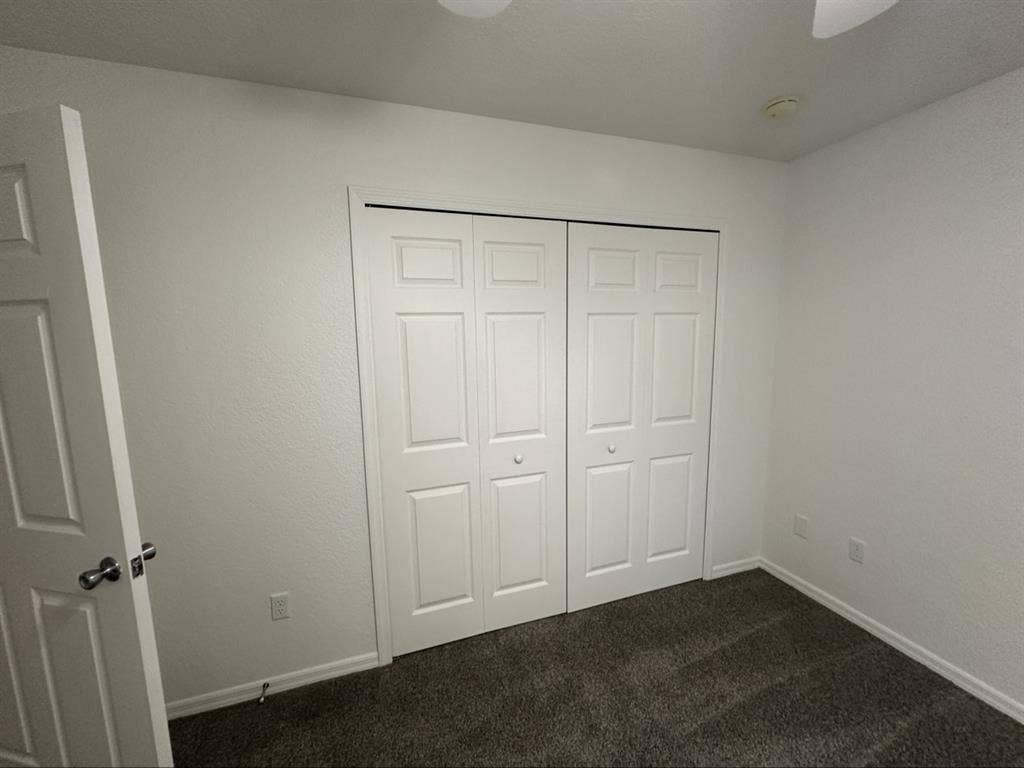 Looking for a roommate