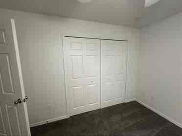 Looking for a roommate