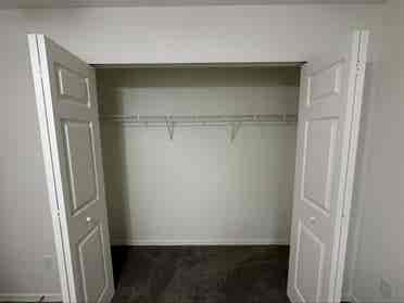 Looking for a roommate