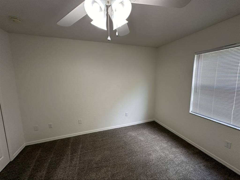 Looking for a roommate