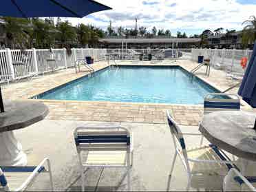 Looking for a roommate