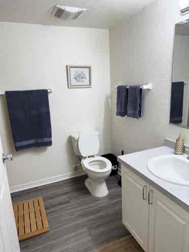 Looking for a roommate