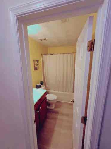 Room for Rent Near Downtown Norfolk