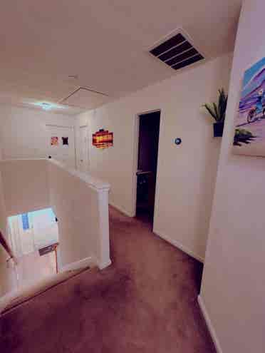 Room for Rent Near Downtown Norfolk