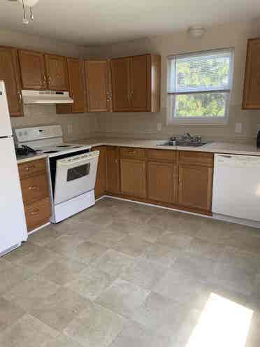 Need 2 F roommates Williamsville