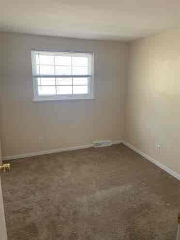 Need 2 F roommates Williamsville