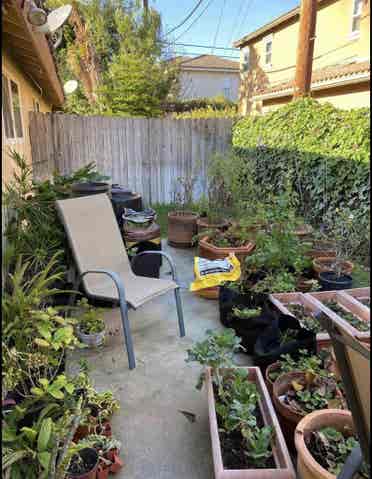 Lovely East Side Costa Mesa Room