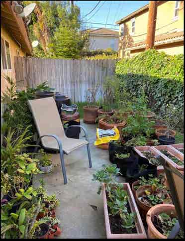 Share Apt East 
Costa Mesa
