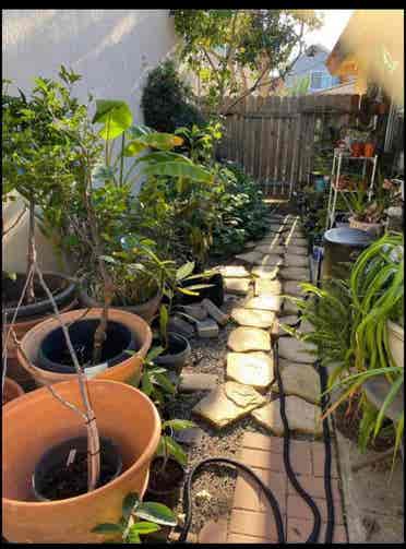 Share Apt East 
Costa Mesa