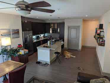 Room for Rent in BA Apartment