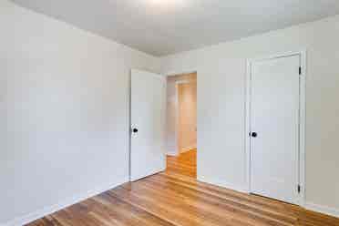 Roommate needed.