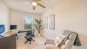 Looking for Roommate!