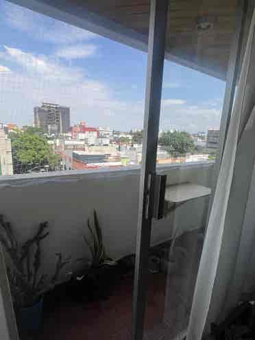 Elvis y yo buscamos  roomie.