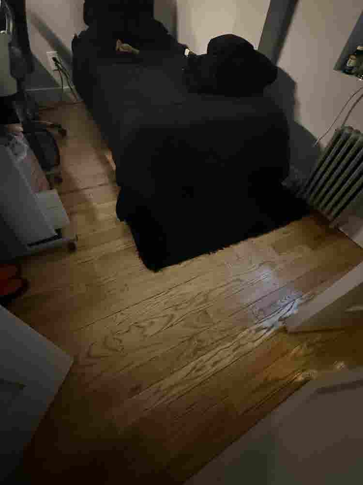Looking for a third roommate