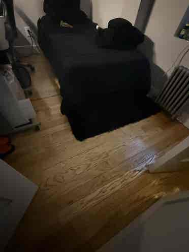 Looking for a third roommate
