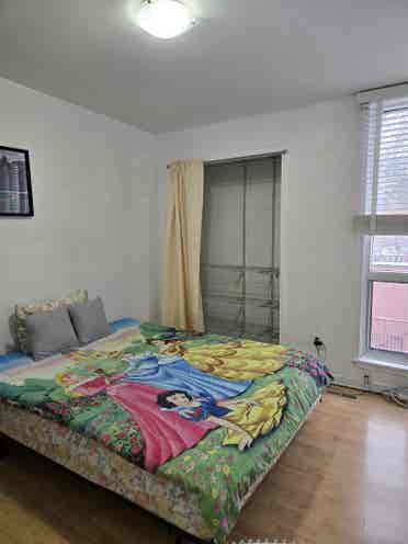 One room available for