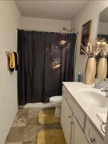 Clean bedroom for Rent.