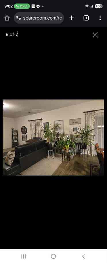 Clean bedroom for Rent.