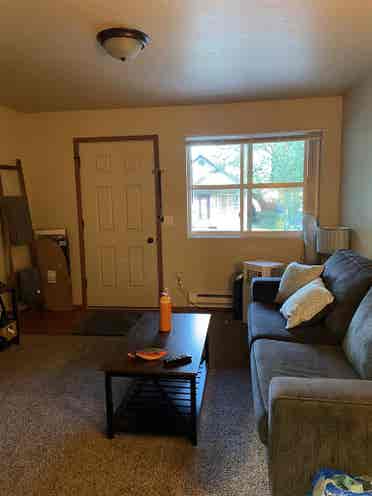 Roommate needed!