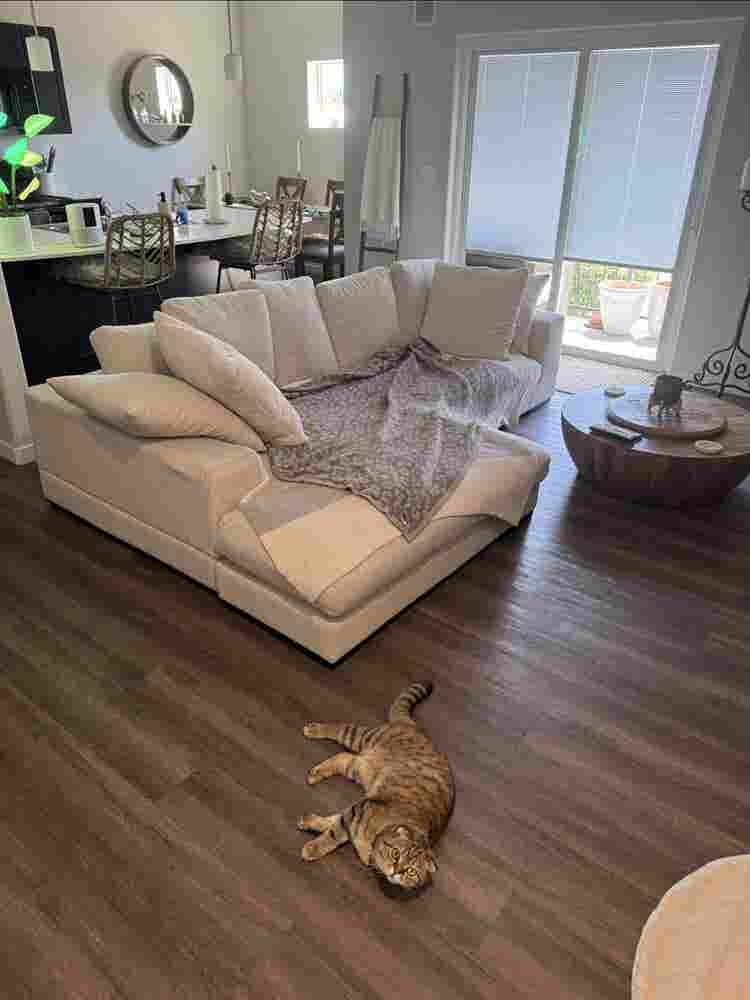 Clean room for rent Meridian