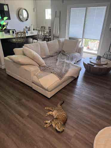 Clean room for rent Meridian, $