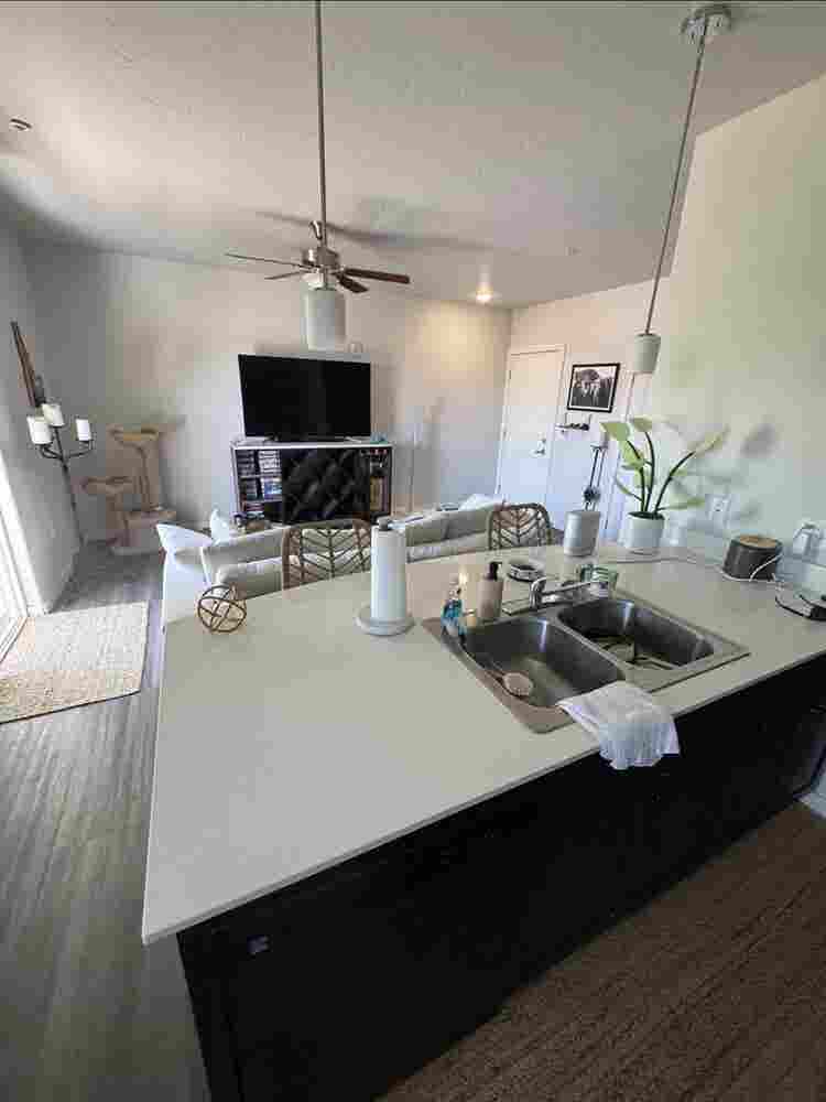 Clean room for rent Meridian
