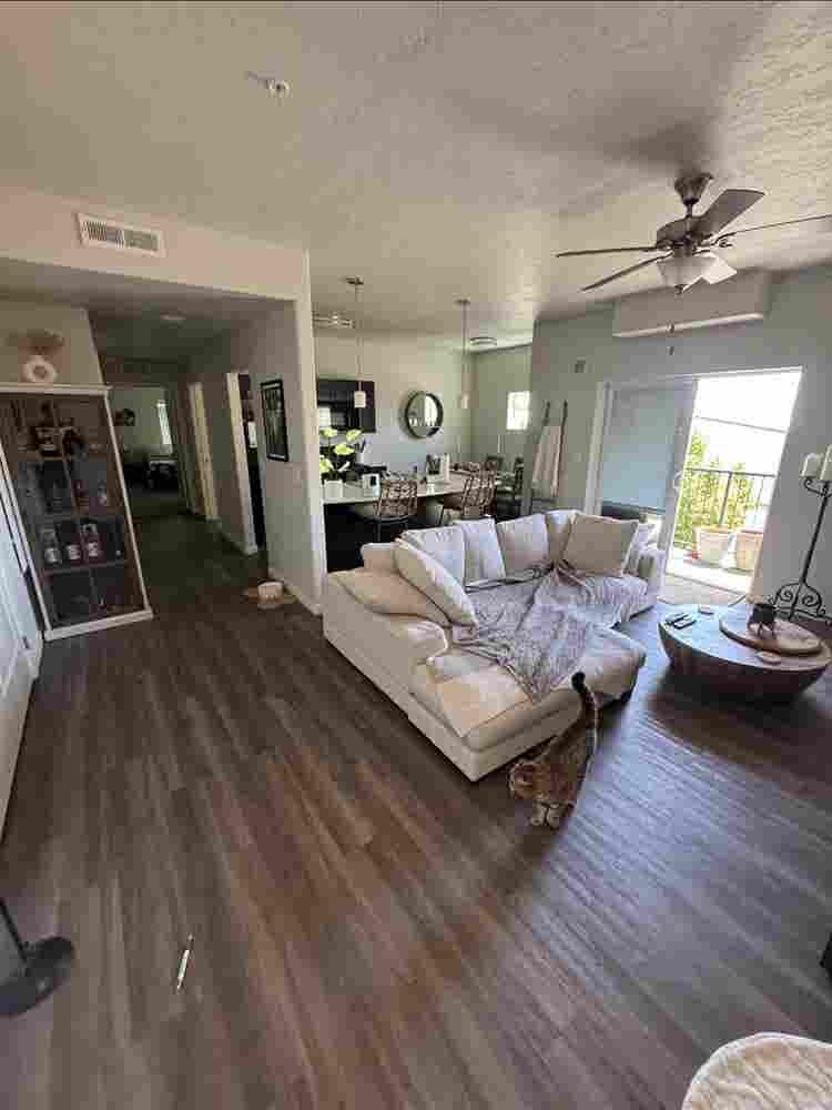 Clean room for rent Meridian