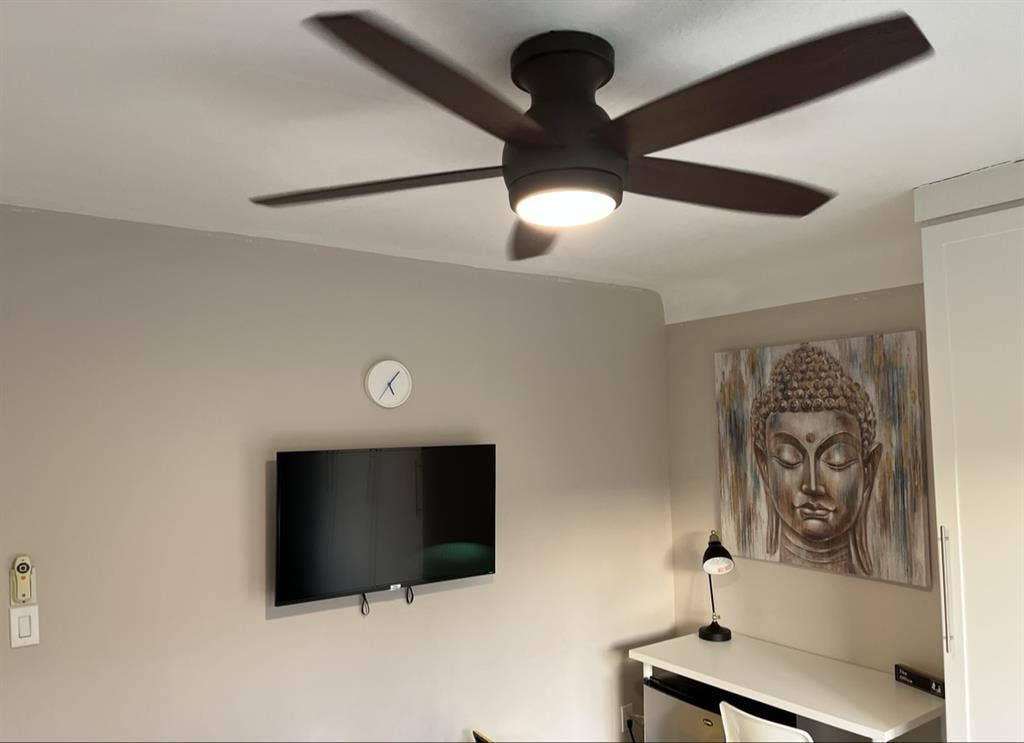 Furnished room in plantation
