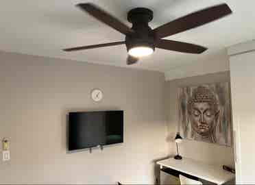 Furnished room in plantation