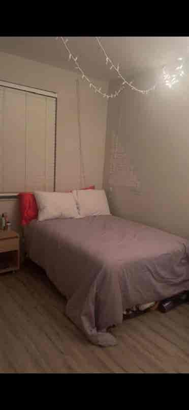 Cute room in a 3 bed apartment