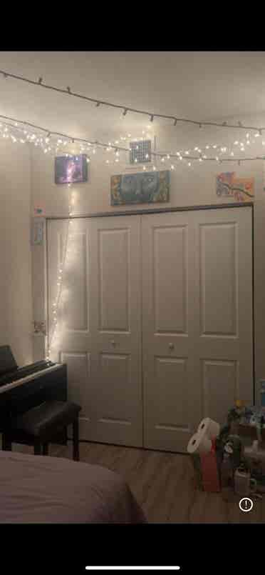 Cute room in a 3 bed apartment