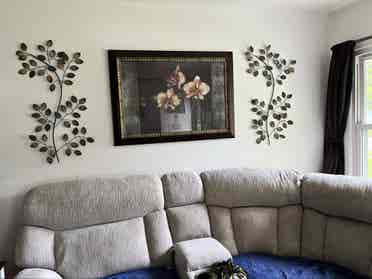 Looking for a roommate