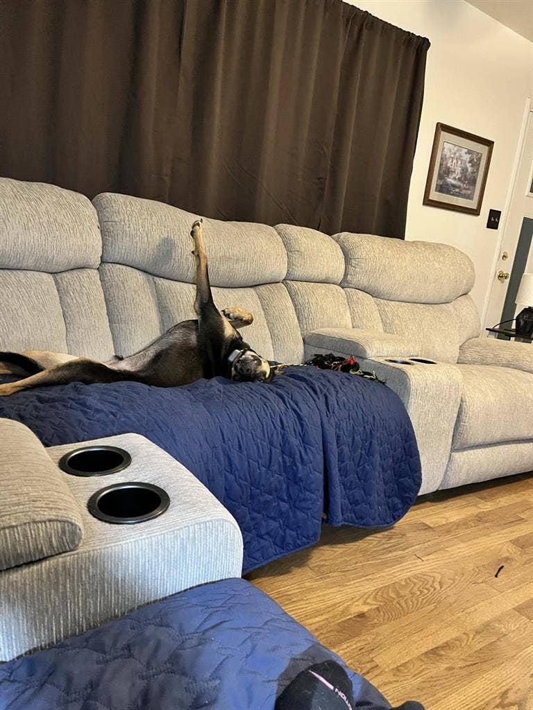 Looking for a roommate