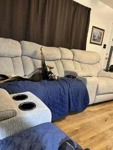 Looking for a roommate